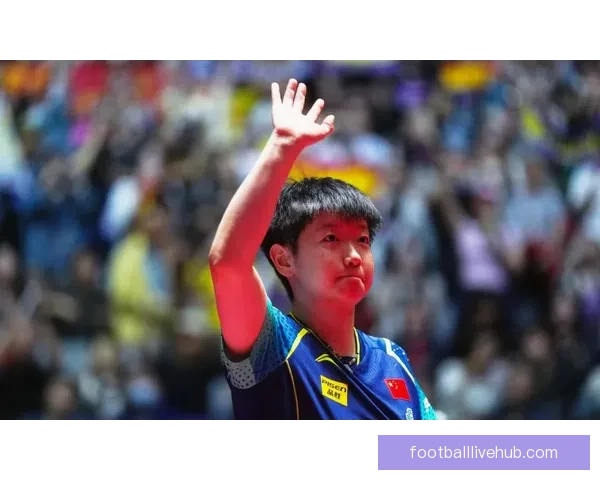 奥运赛场精彩纷呈中国选手连创佳绩引发全民热议